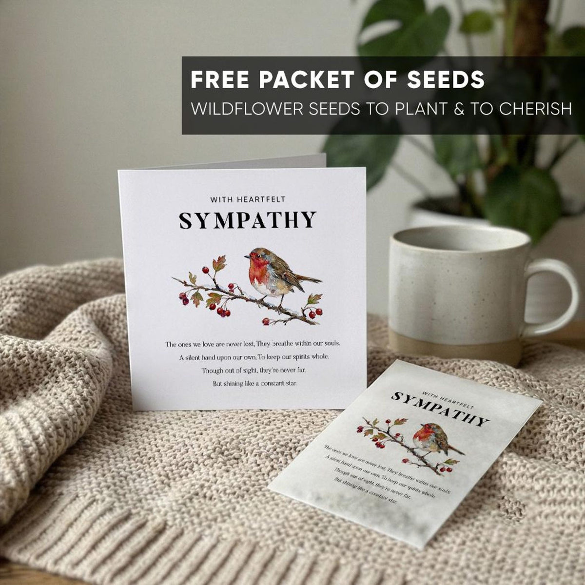 Robin Sympathy Card with Wildflower Seeds