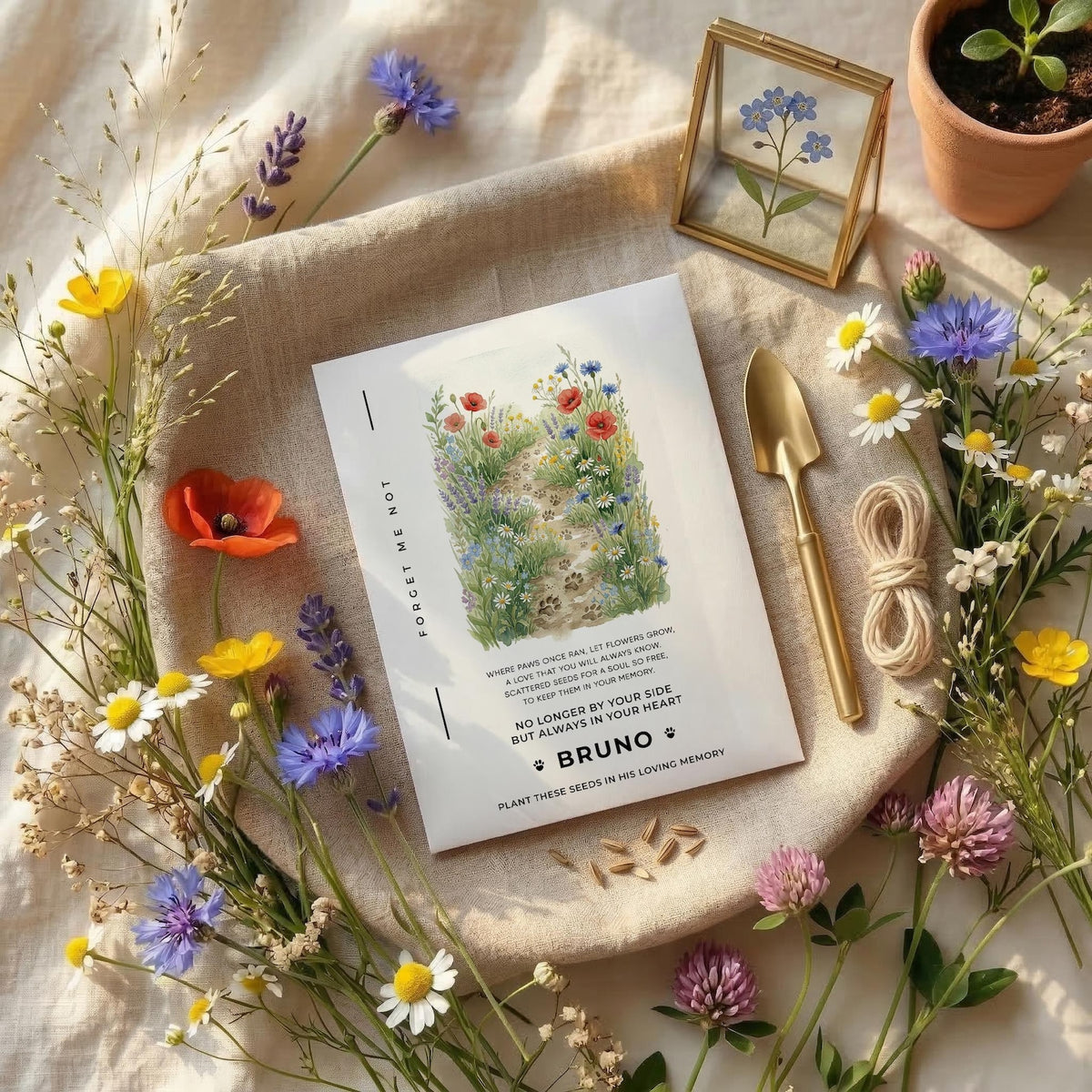 Forget-Me-Not Pet Memorial Seed Favours
