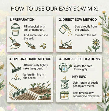 Wildflower sowing instructions